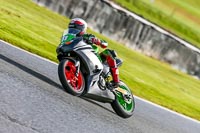 Oulton-Park-14th-March-2020;PJ-Motorsport-Photography-2020;anglesey;brands-hatch;cadwell-park;croft;donington-park;enduro-digital-images;event-digital-images;eventdigitalimages;mallory;no-limits;oulton-park;peter-wileman-photography;racing-digital-images;silverstone;snetterton;trackday-digital-images;trackday-photos;vmcc-banbury-run;welsh-2-day-enduro
